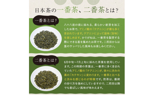 水野茶園のお茶 一番茶セット（香露120g・柴舟120g・彩緑120g） 進物（贈答）用【 岐阜県 可児市 お茶 飲料 一番茶 詰合せ 可児そだち 新芽 アミノ酸 テアニン 旨味 お湯 ギフト お取り寄せ 】