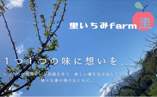 【1月発送】【里いちみfarm】青森県津軽のりんご　特選「サンふじ・王林」約5kg