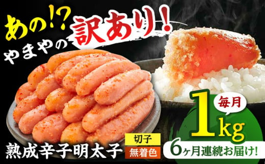 定期便 やまや【訳あり】 熟成 辛子明太子切子（着色料不使用）1kg（冷凍） 