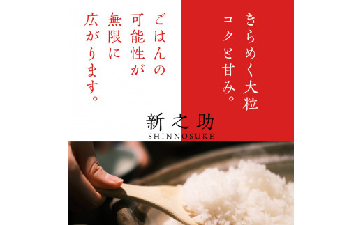 【2024年11月下旬発送】【定期便】令和6年産 新潟県上越・妙高産新之助2kg×6回（計12kg）