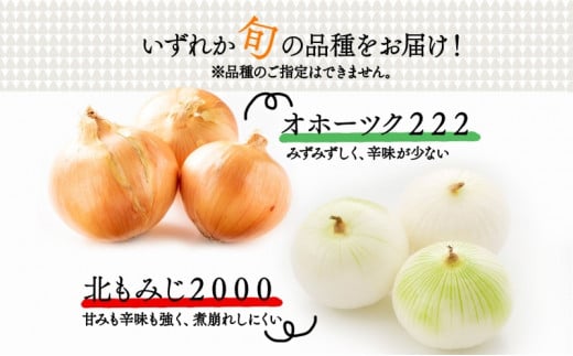 北海道 新しのつ産 玉ねぎ Lサイズ 約20kg オホーツク222 北もみじ2000 玉葱 たまねぎ タマネギ オニオン 旬 農作物 野菜 サラダ カレー 肉じゃが 長期保存 送料無料