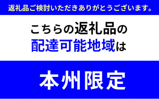 国産合成革張りソファ「NEWニコラス」幅170 グレージュ×脚：ダークブラウン [№5802-7065]0901