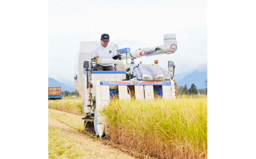 2023年4月発送開始『定期便』山形県産　はえぬき　5kg(5kg×1袋)全6回【5087193】