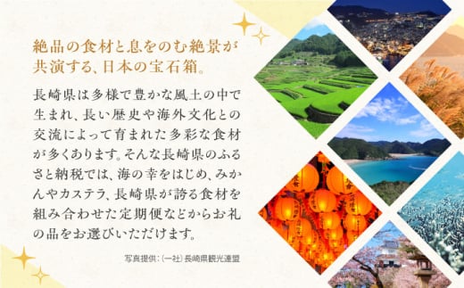 長崎和牛 切り落とし 約400g （カタ、モモ、バラ、ロース、スネのいずれか） 長崎県/合同会社肉のマルシン [42AAAO024] 牛肉 和牛 惣菜 おかず 焼き肉 焼肉 切落し 贈り物 ギフト 国産