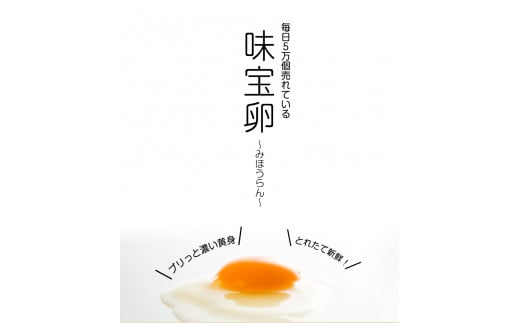 朝獲れ卵 味宝卵 (80個) 卵 Lサイズ 鶏卵《90日以内に出荷予定(土日祝除く)》