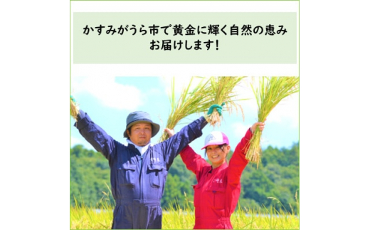 2024年1月発送開始『定期便』お米ソムリエ厳選!茨城県産コシヒカリのお米20kg 全12回【5154870】