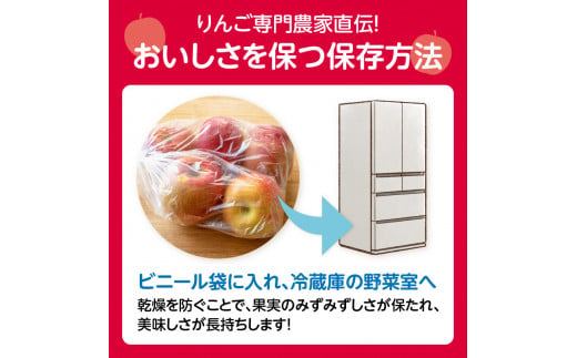 《先行予約》訳あり 大江はるか約3.5kg【2024年12月上旬頃～発送予定】【大江町産・山形りんご・りんご専科 清野】 【015-060】