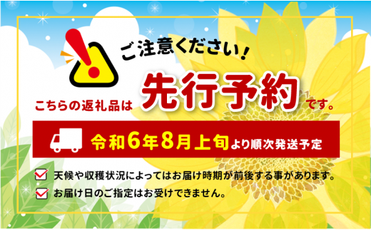 夏のりんご サンつがる 5kg ❘ 果物 フルーツ りんご リンゴ 林檎 信州りんご 信州産 長野県産りんご つがる サンつがる 千曲市 長野県 信州 先行予約