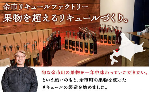 果汁たっぷり！そのまま飲める♪リキュール　おまかせ２種飲み比べセット＜余市リキュールファクトリー＞