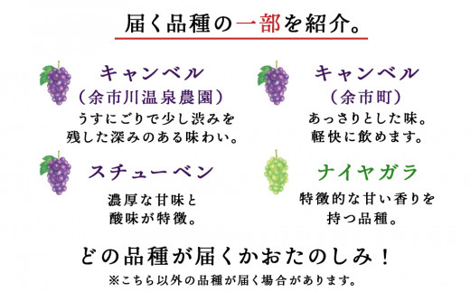 果汁たっぷり！そのまま飲める♪リキュール　おまかせ２種飲み比べセット＜余市リキュールファクトリー＞