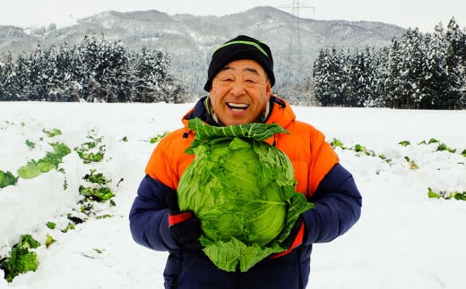 雪の中で旨みが凝縮!柔らか食感!「雪掘(ゆきほり)ロールキャベツ」1kg(コンソメ・デミ各1パック)【1211179】