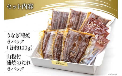 うなぎ 国産 静岡 うなぎ蒲焼 ハーフカット 100g ×6 計600g [静岡鰻販売 静岡県 吉田町 22424172] 鰻 ウナギ うなぎ蒲焼き うなぎ蒲焼 真空パック 冷凍 蒲焼 肉厚 ふっくら 静岡県産