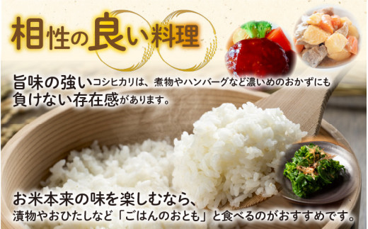 【令和5年産】【6ヶ月定期便】福井県大野市産 JGAP認証 コシヒカリ「あかね」5kg（2.5kg×2）小分け