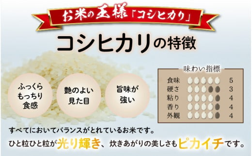 【令和5年産】【6ヶ月定期便】福井県大野市産 JGAP認証 コシヒカリ「あかね」5kg（2.5kg×2）小分け