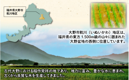 【令和5年産】【6ヶ月定期便】福井県大野市産 JGAP認証 コシヒカリ「あかね」5kg（2.5kg×2）小分け