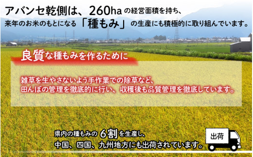 【令和5年産】【6ヶ月定期便】福井県大野市産 JGAP認証 コシヒカリ「あかね」5kg（2.5kg×2）小分け