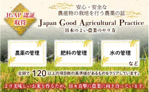 【令和5年産】【6ヶ月定期便】福井県大野市産 JGAP認証 コシヒカリ「あかね」5kg（2.5kg×2）小分け