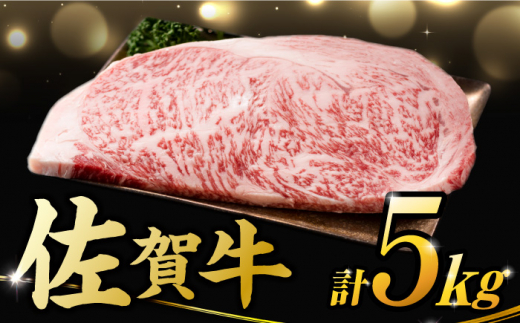 【年内配送 12月5日まで受付】【不揃い訳あり】佐賀牛 サーロインステーキ 5kg （ 250g 2枚入り×10パック） 吉野ヶ里町 [FDB012]