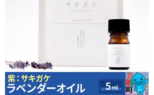 《数量限定》ラベンダーオイル 5ml 化粧箱入り 紫：サキガケ