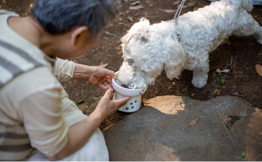 【6ヵ月定期便】オーガニック鹿肉ペットフード（犬用）ドライタイプ1kg [№5915-0907]