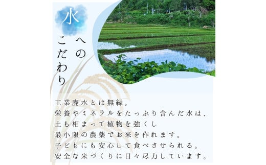 【定期便全3回】【順次発送中】◇令和6年産 新米◇木露ファーム 余市産 ゆめぴりか（精米） 10kg