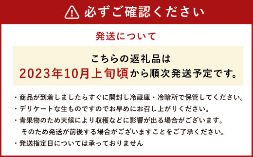 益城産 ばってん甘柿 秀品 約3kg 柿 10~14玉 果物