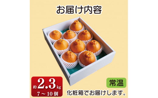 先行予約 贈答用 不知火 2.3kg 7～10 個 しらぬい デコポン みかん 蜜柑 果物 フルーツ 柑橘 オレンジ ゼリー ジュース アイス ケーキ デザート スイーツ ジャム 糖度 甘い ギフト プレゼント 贈答 ビタミン 美容 健康 送料無料 徳島県 阿波市 サトウ農園