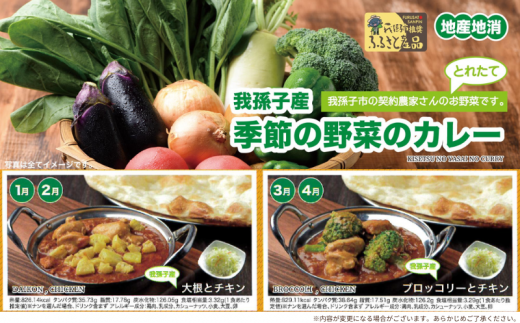 手作りインドカレー 我孫子産 季節の野菜カレー200g×3袋とナン3種セット