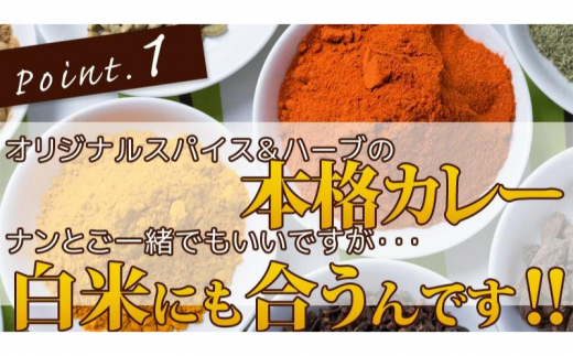 手作りインドカレー 我孫子産 季節の野菜カレー200g×3袋とナン3種セット