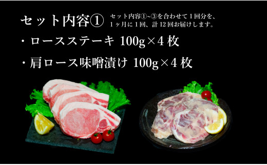 【12回定期便 豚肉7種セット】 ありたぶた バラエティSセット (豚肉7種) 12回 定期便 小分け 真空パック 豚肉 ロース バラ ウインナー ソーセージ ハンバーグ N240-2