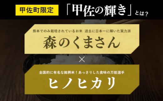 令和６年産【定期便3ヶ月】『甲佐の輝き』無洗米16kg×3ヶ月（5kg×2袋、6kg×1袋）【2025年1月より配送月選択可！】／出荷日に合わせて精米 - 国産 白米 無洗米 お米 ブレンド米 複数原料米 訳あり 厳選 マイスター 生活応援 ひのひかり 森のくまさん おすすめ 定期便 熊本県 甲佐町【価格改定ZI】