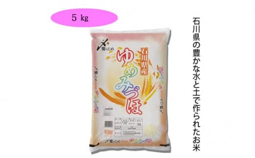 【期間限定発送】 米 令和6年 ゆめみづほ 精米 5kg [中橋商事 石川県 宝達志水町 38600958] お米 コメ 白米 ごはん 美味しい 石川