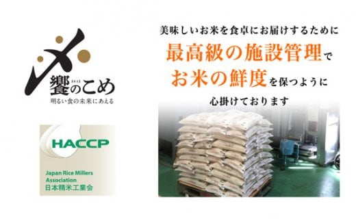 【期間限定発送】 米 令和6年 ゆめみづほ 精米 5kg [中橋商事 石川県 宝達志水町 38600958] お米 コメ 白米 ごはん 美味しい 石川