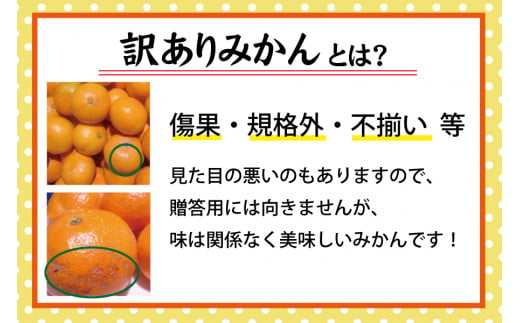 【訳あり】農家直送 有田みかん 約7.5kg ご家庭用 サイズ混合 ※2024年11月中旬から2025年1月中旬までに順次発送予定（お届け日指定不可）※北海道・沖縄・離島への配送不可 訳ありみかん みかん ミカン 蜜柑 柑橘 フルーツ 果物 くだもの 温州みかんサイズ混合 訳ありみかん 温州みかん 有機質肥料100% ふるさと納税 柑橘 有田 産地直送【nuk157B】