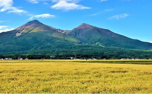 令和6年産 福島県産 あさか舞コシヒカリ 無洗米10kg（5kg×2袋）