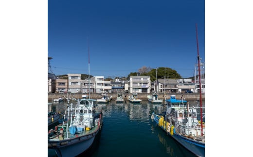 さかなの町土佐清水　漁港の様子