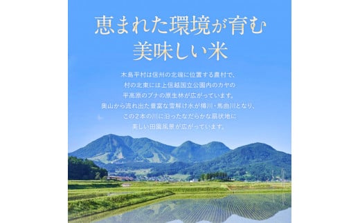 木島平産ゆうだい21 10kg | 米 ゆうだい21 希少 品種 特別栽培 寒暖差 木島平村 長野県 信州 減農薬 無化学肥料 特別栽培米