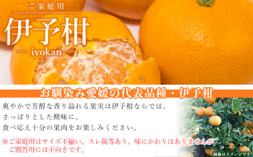 ＜愛媛県西予市産 伊予柑 ご家庭用 約4kg＞ 約15～25個入り 訳あり 果物 くだもの フルーツ みかん ミカン オレンジ 柑橘 イヨカン いよかん 食べて応援 特産品 宇都宮物産 愛媛県 西予市【常温】