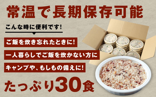 【定期便11ヶ月】阿蘇だわら 十六雑穀ごはん パックライス 160g×30パック