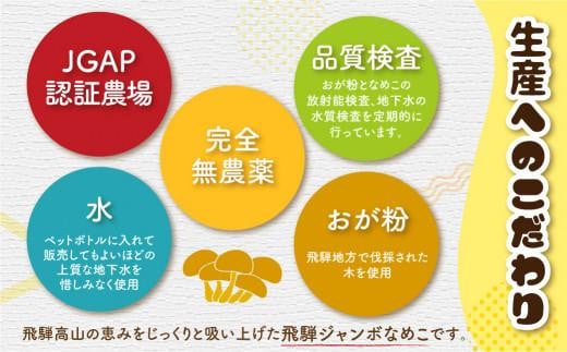 飛騨ジャンボなめこ約180g×4パック入り 国産なめこ きのこ 生なめこ 大きい ジャンボサイズ なめ茸 希少 珍しい  鍋 日付指定可 なめこファーム  KN001