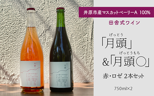 田舎式ワイン「月頭」＆「月頭◯」２本セット