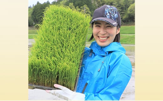 【令和5年産】日野町産 いとうさんし米セット 3種各1.5kg（計4.5kg）[ コシヒカリ にこまる みずかがみ ]