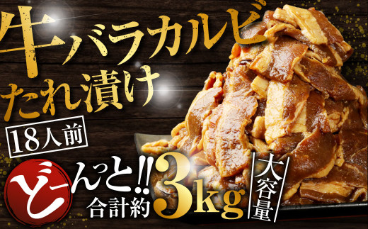 牛バラカルビたれ漬け 合計約3kg (2人前 335g×9パック)