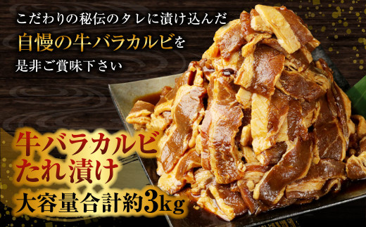 牛バラカルビたれ漬け 合計約3kg (2人前 335g×9パック)