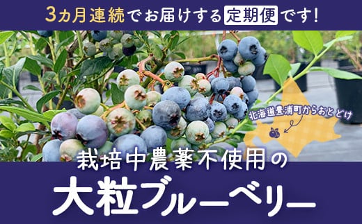 【定期便3カ月】北海道 豊浦町産 冷凍 ブルーベリー 2kg 栽培期間中農薬不使用 【ふるさと納税 人気 おすすめ ランキング 果物 ブルーベリー 冷凍ブルーベリー 国産ブルーベリー 濃厚ブルーベリー 大容量 無農薬 おいしい 美味しい あまい 新鮮 定期便 北海道 豊浦町 送料無料】 TYUS009