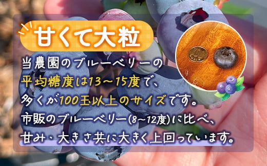 【定期便3カ月】北海道 豊浦町産 冷凍 ブルーベリー 2kg 栽培期間中農薬不使用 【ふるさと納税 人気 おすすめ ランキング 果物 ブルーベリー 冷凍ブルーベリー 国産ブルーベリー 濃厚ブルーベリー 大容量 無農薬 おいしい 美味しい あまい 新鮮 定期便 北海道 豊浦町 送料無料】 TYUS009