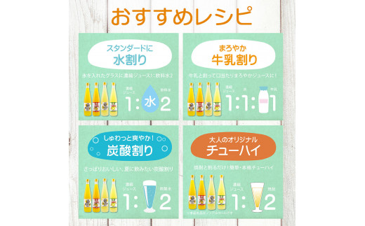 オレンジ園の濃縮ジュース 小夏 500ml 3本 希釈用 みかんジュース チューハイ用 ドリンク ジュース 柑橘類 蜜柑 みかん【R01120】