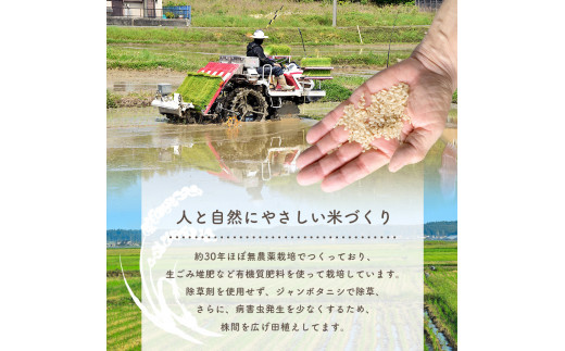 特別栽培米 くまさんの輝き 5kg（定期便3回） | 熊本県 熊本 くまもと 和水町 なごみまち なごみ お米 白米 特別栽培 減農薬 減化学肥料 農薬 栽培期間中不使用 単一原料米 定期便 定期 3回