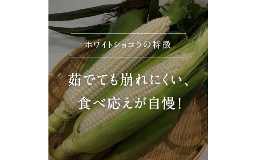 【KN02】南部町産 朝採れスイートコーン5kg箱 食べくらべセット（ドルチェドリーム・ホワイトショコラ）＜数量限定＞