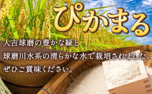 【R6年産米 定期便12回】多良木町産 『ぴかまる』 10kg(5kg×2)×12回 【計 120kg 】  定期便 定期配送 精米 お米 米 艶 粘り 甘み うま味 もちもち 熊本のお米 10キロずつ 120キロ 1年 毎月届く 熊本県 多良木町 044-0595